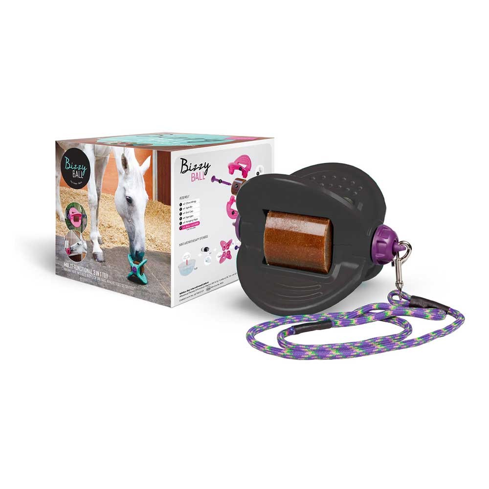 Bizzy Bites Bizzy Bites Toy in Black