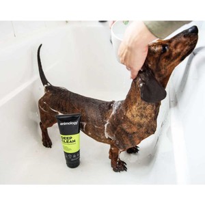 Animology Animology Deep Clean Shampoo 250ml 