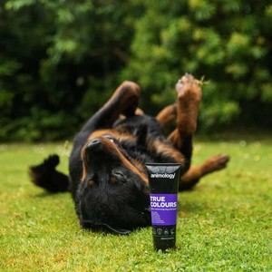 Animology Animology True Colours Dog Shampoo 250ml 