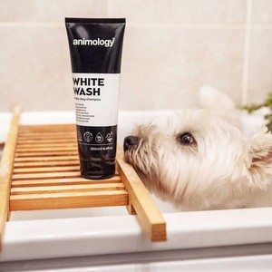 Animology Animology White Wash Shampoo  