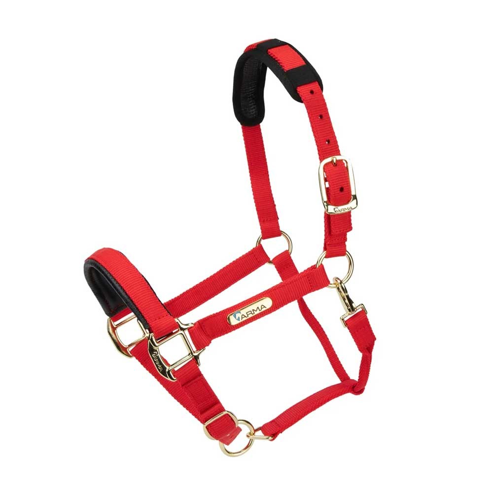 Shires Shires Topaz Nylon Headcollar in Red
