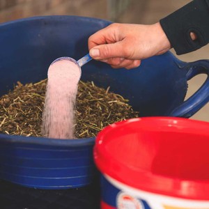 Equine Products Equine Products Restore-Lyte Powder in N/A