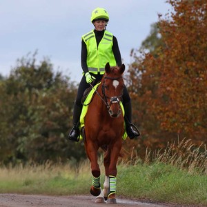 Shires Shires Equi-Flector Safety Vest SS25 in Yellow