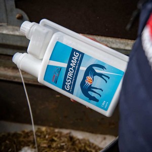 Equine Products Equine Products Gastro Mag 