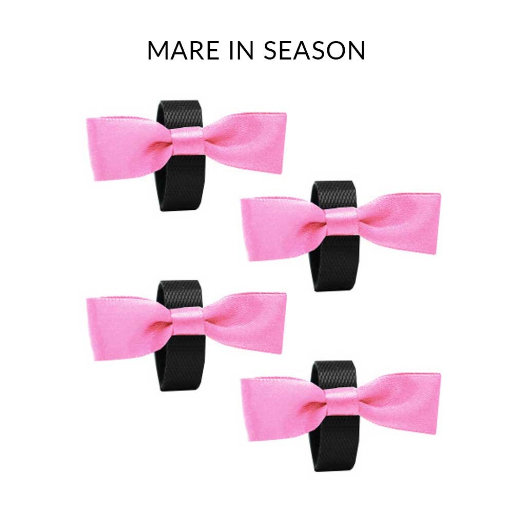 Equetech Equetech Horse Bridle Warning Ribbons in Pink