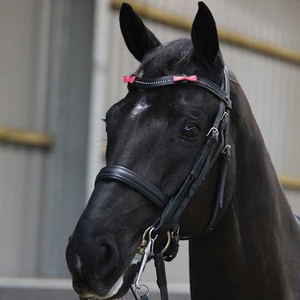 Equetech Equetech Horse Bridle Warning Ribbons in Pink