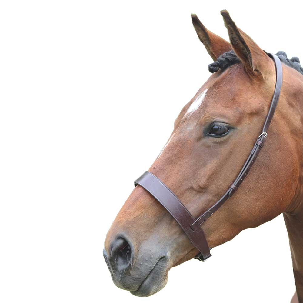 Shires Shires Velociti Gara Hunter Cavesson Noseband in Havana