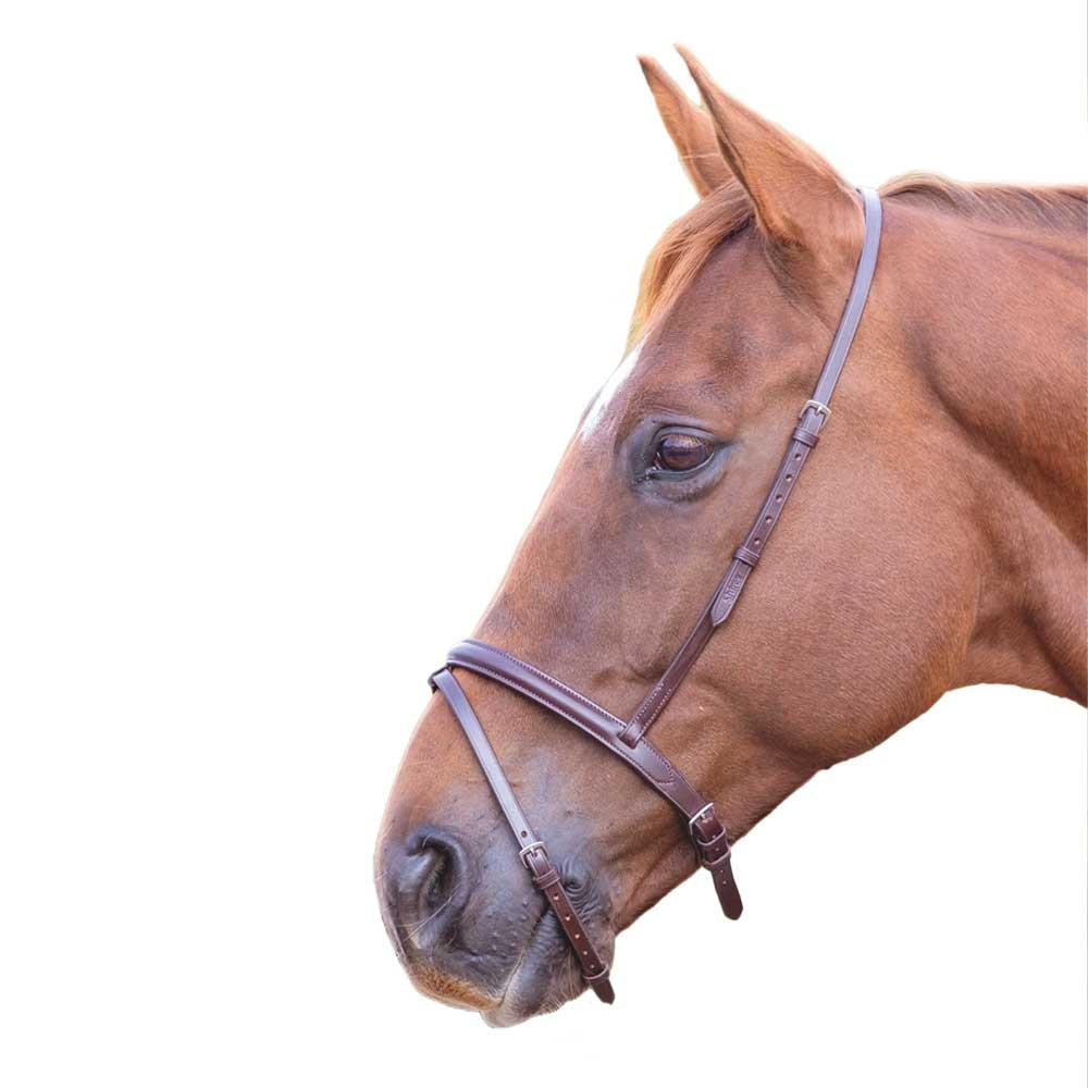 Shires Shires Velociti Gara Flash Noseband in Havana
