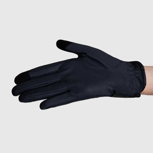 Aztec Diamond Aztec Diamond Essentials Gloves in Navy