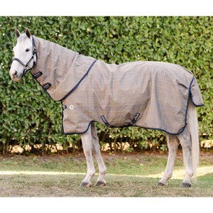 Horseware Horseware Amigo 900D Revive Plus 50g Turnout in Seasonal Colour
