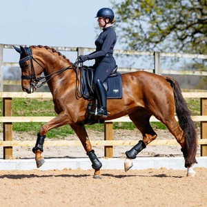 LeMieux LeMieux Puissance Suede Dressage Square in Navy