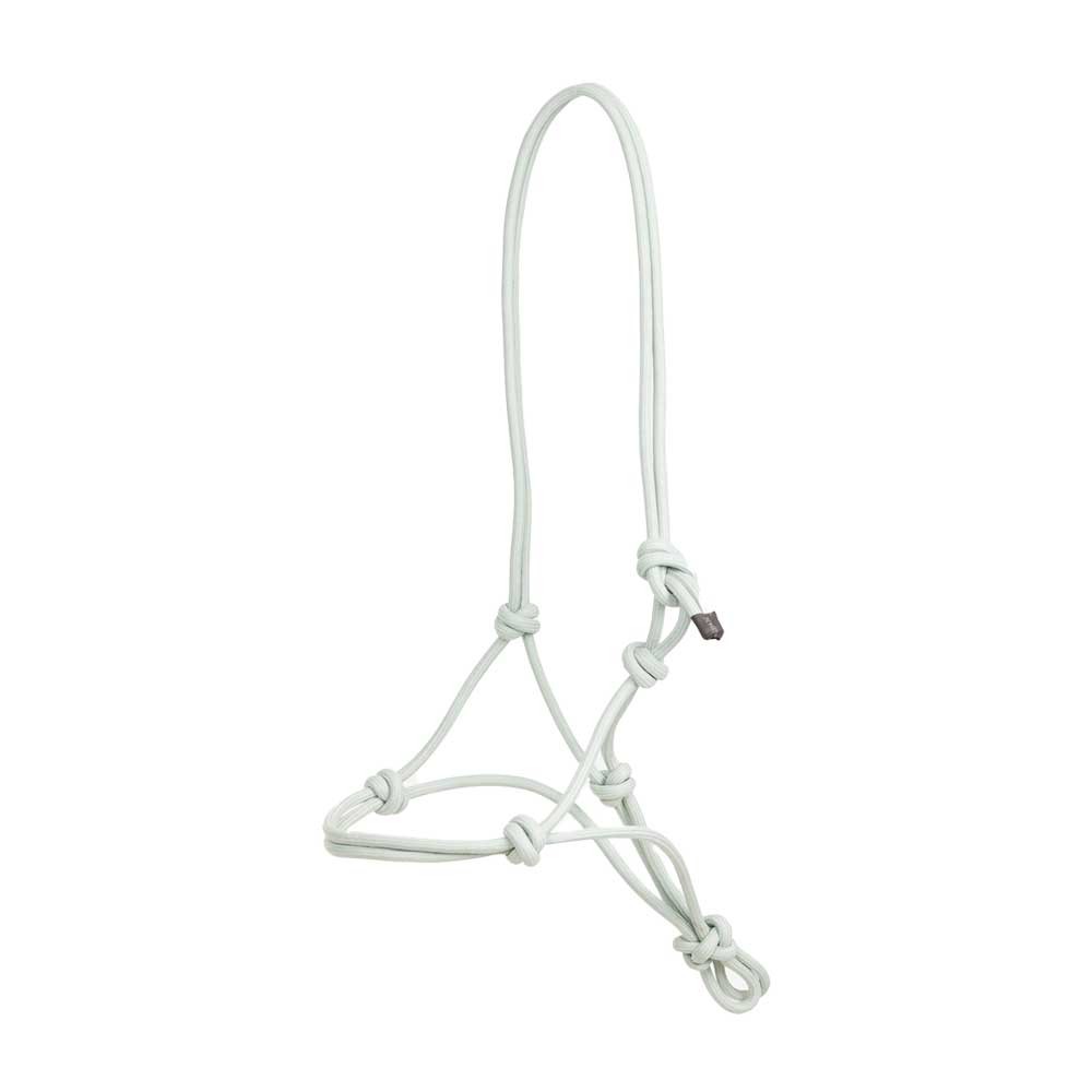 LeMieux LeMieux Rope Halter in Aqua