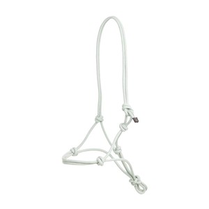 LeMieux LeMieux Rope Halter in Aqua