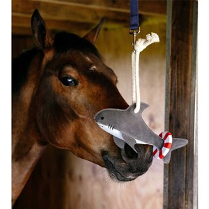 LeMieux LeMieux Horse Stable Toy in Shark
