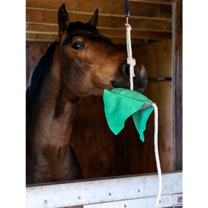 LeMieux LeMieux Horse Stable Toy in Stringray
