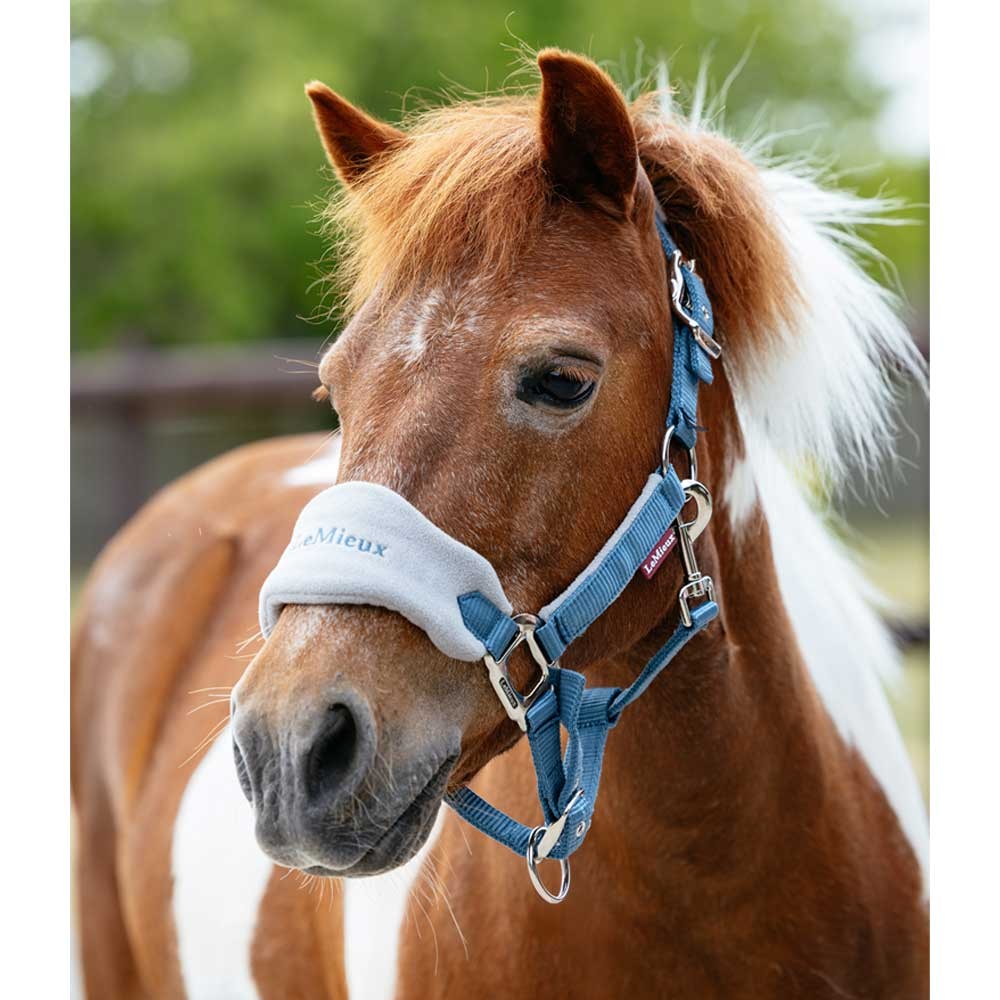 LeMieux Mini Vogue Classic Headcollar & Leadrope Blue