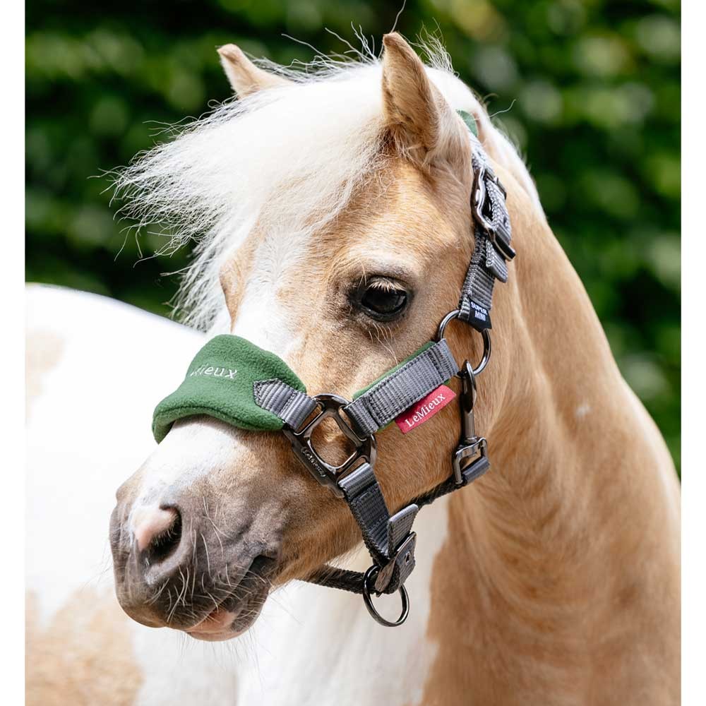 LeMieux Mini Vogue Classic Headcollar & Leadrope Green