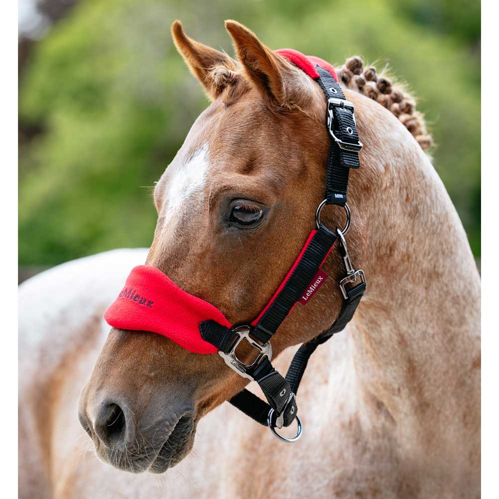 LeMieux Mini Vogue Classic Headcollar & Leadrope Red