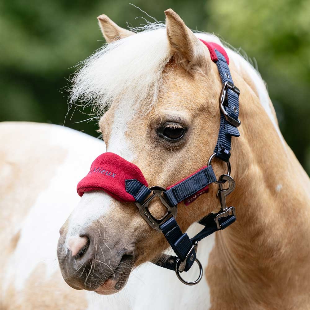 LeMieux Mini Vogue Classic Headcollar & Leadrope Burgundy