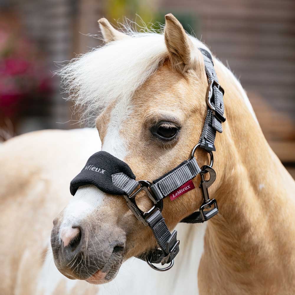 LeMieux Mini Vogue Classic Headcollar & Leadrope Black