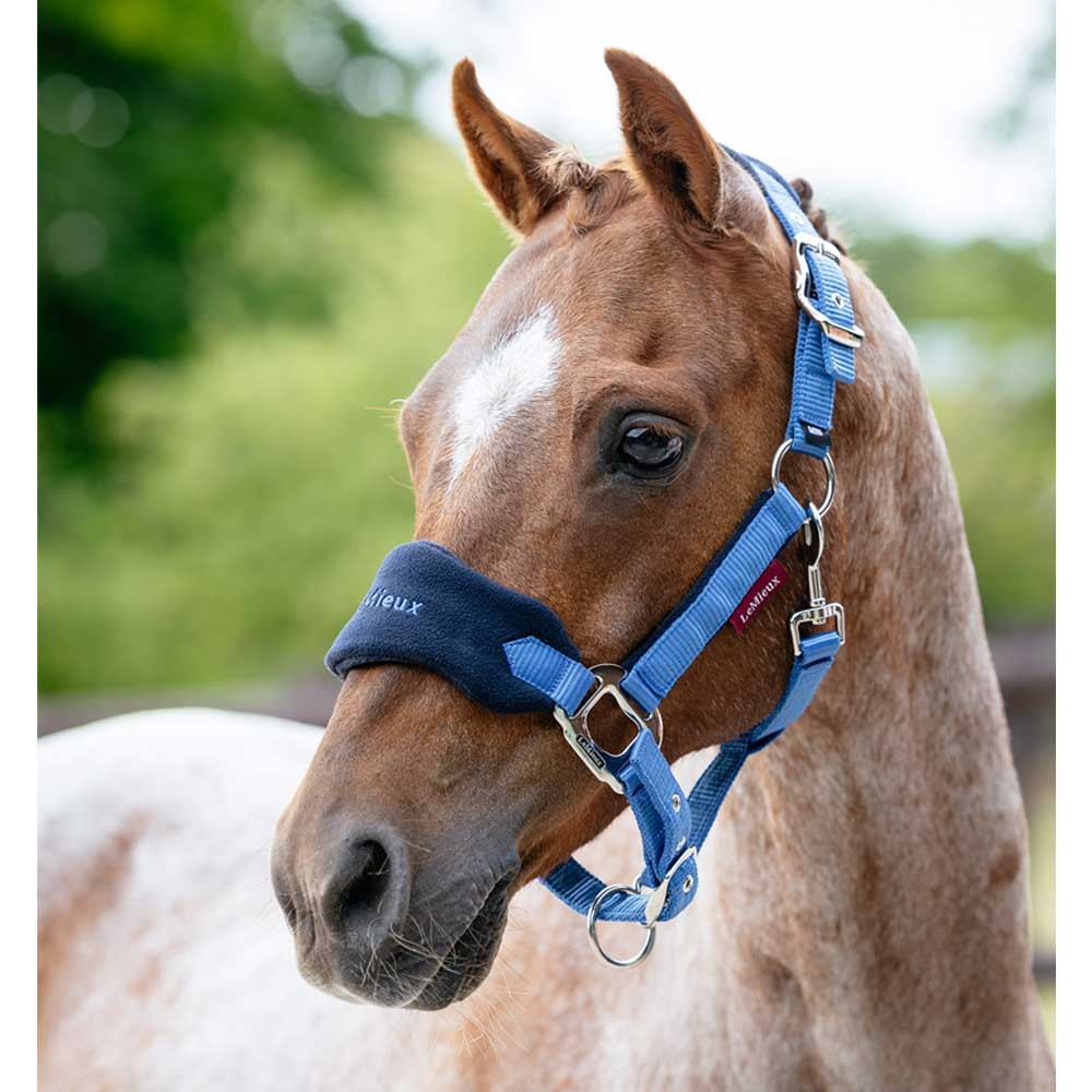 LeMieux Mini Vogue Classic Headcollar & Leadrope Blue