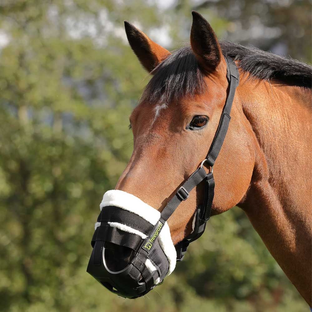 Shires Freegraze Deluxe Comfort Grazing Muzzle Black