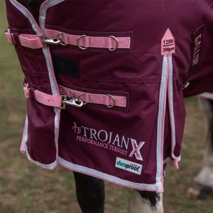 Gallop Gallop Trojan Xtra 200g Duraproof Turnout in Burgundy