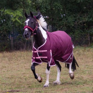 Gallop Gallop Trojan Xtra 200g Duraproof Turnout in Burgundy
