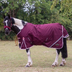 Gallop Gallop Trojan Xtra 200g Duraproof Turnout in Burgundy