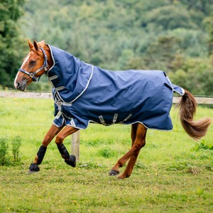 Horseware Horseware Amigo Bravo 1200D 400g Plus Turnout Rug in Navy/Titanium Grey