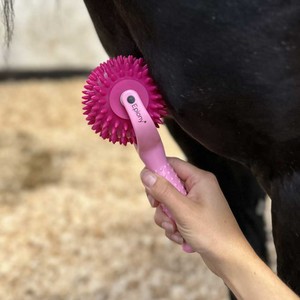 Epiony Epiony Spiky Massage Ball in Pink