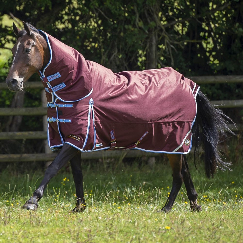 Gallop Gallop Trojan Xtra 300g Duraproof Combo Turnout in Burgundy
