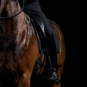 LeMieux LeMieux ProForm Dresage Square in Black