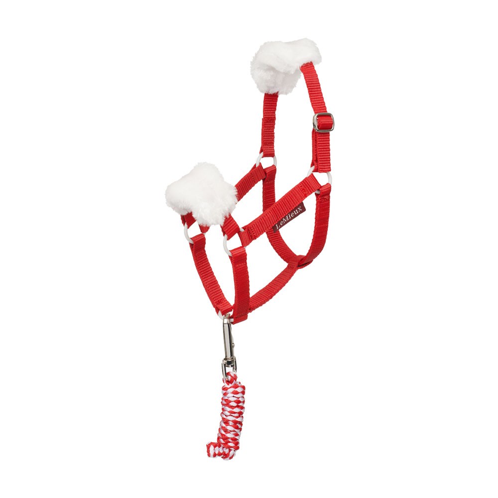LeMieux Hobby Horse Christmas Headcollar & Leadrope Red
