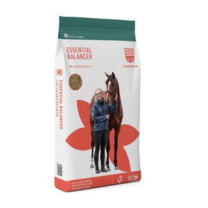 Saracen Saracen Essential Balancer 20kg 