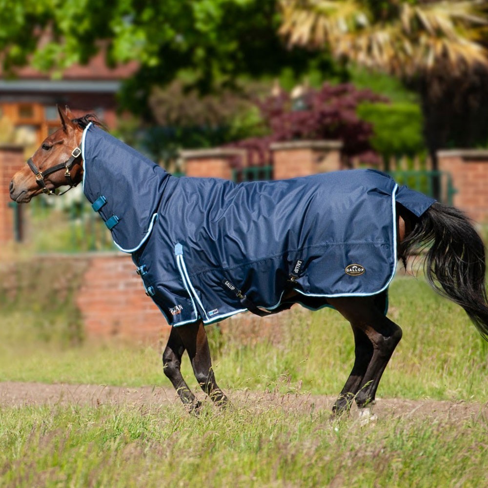 Gallop Gallop Trojan 300g Duraproof Combo Turnout in Navy