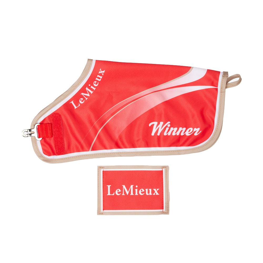 LeMieux Toy Pony Winners Rug Red