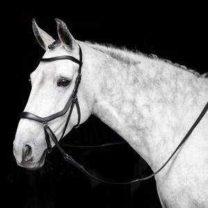 Horseware Horseware Micklem Bitless Bridle in Black