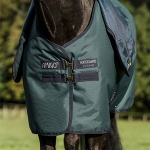 Horseware Horseware Amigo Ripstop 900D Plus Pony 50g Turnout Rug in Dynasty Green/Navy & Silver