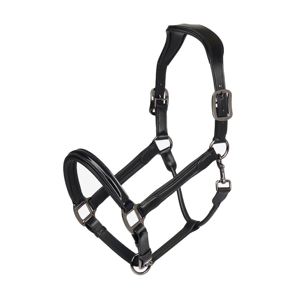 LeMieux LeMieux Patent Leather Headcollar in Black