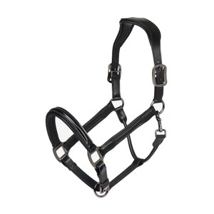 LeMieux LeMieux Patent Leather Headcollar in Black