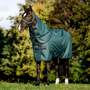 Horseware Horseware Amigo Ripstop 900D Plus Pony 200g Turnout in Dynasty Green/Navy & Silver