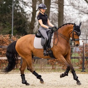 LeMieux LeMieux Cotton Dressage Square Saddle Pad in Grey