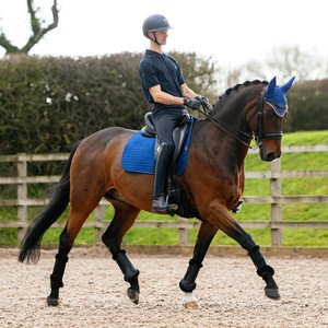 LeMieux LeMieux Suede Dressage Square in Benetton Blue