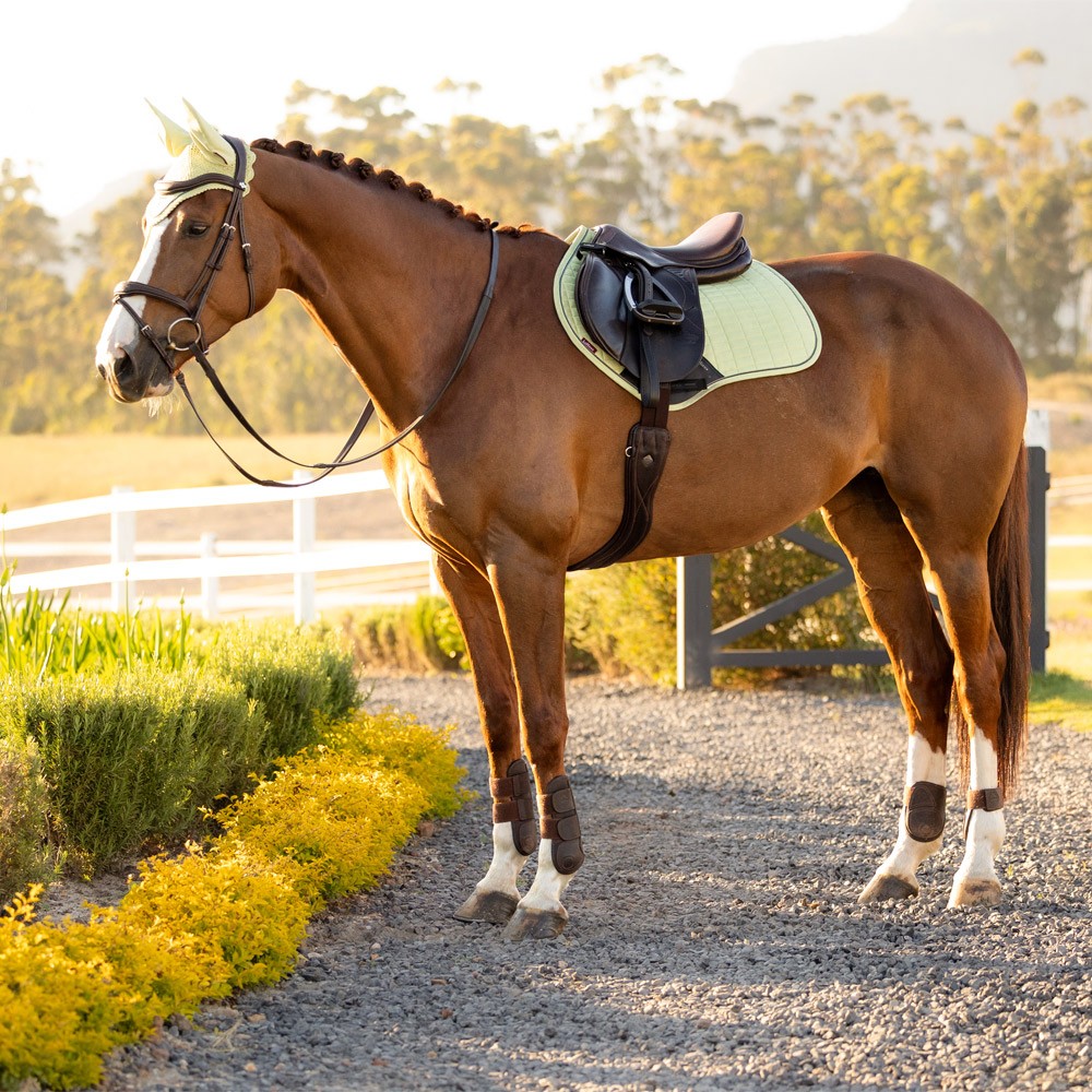 LeMieux Suede Close Contact Square Green