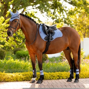 LeMieux LeMieux Suede GP Square Saddle Pad in Powder Blue