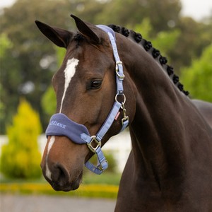 LeMieux LeMieux Vogue Fleece Headcollar and Leadrope Set in Powder Blue