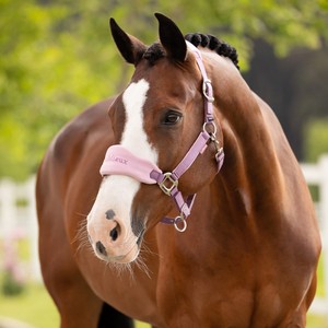 LeMieux LeMieux Vogue Fleece Headcollar and Leadrope Set in Mallow