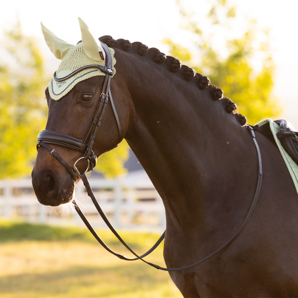 LeMieux Classic Fly Hood Green