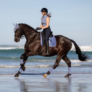 LeMieux LeMieux Loire Classic Dressage Square in Powder Blue